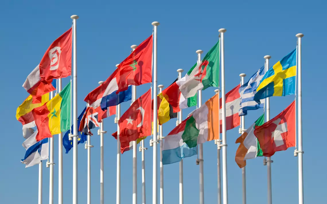 European flags on poles